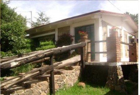 "El Colibrí"